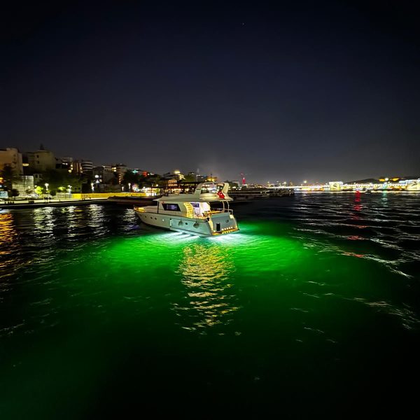 WhatsApp Image 2025-01-25 at 20.54.16